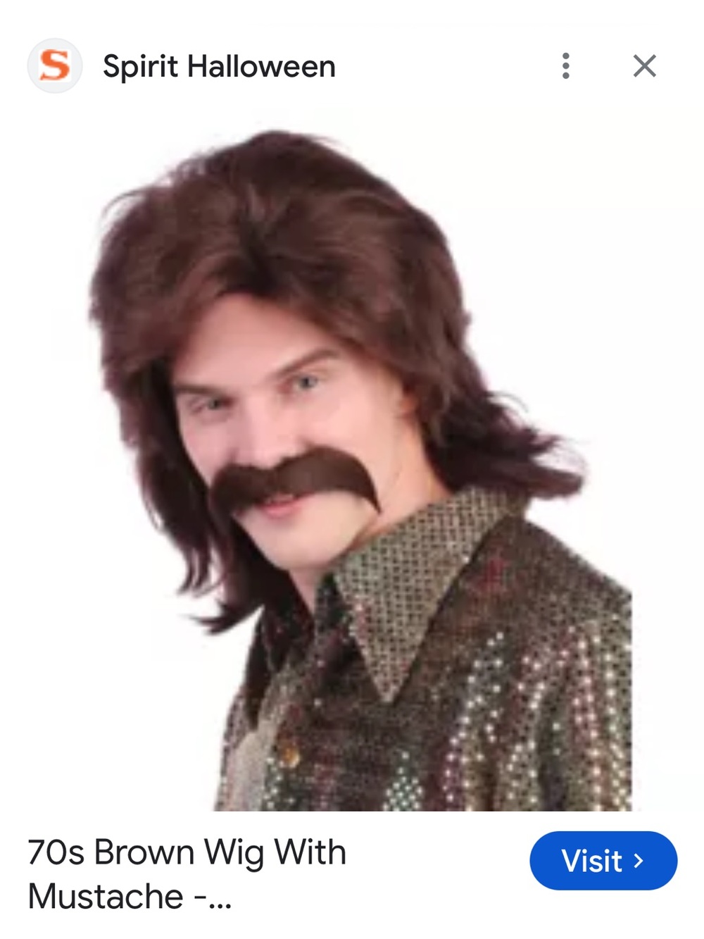 #3029**Spirit 70s Brown Wig with Mustache - Brown
